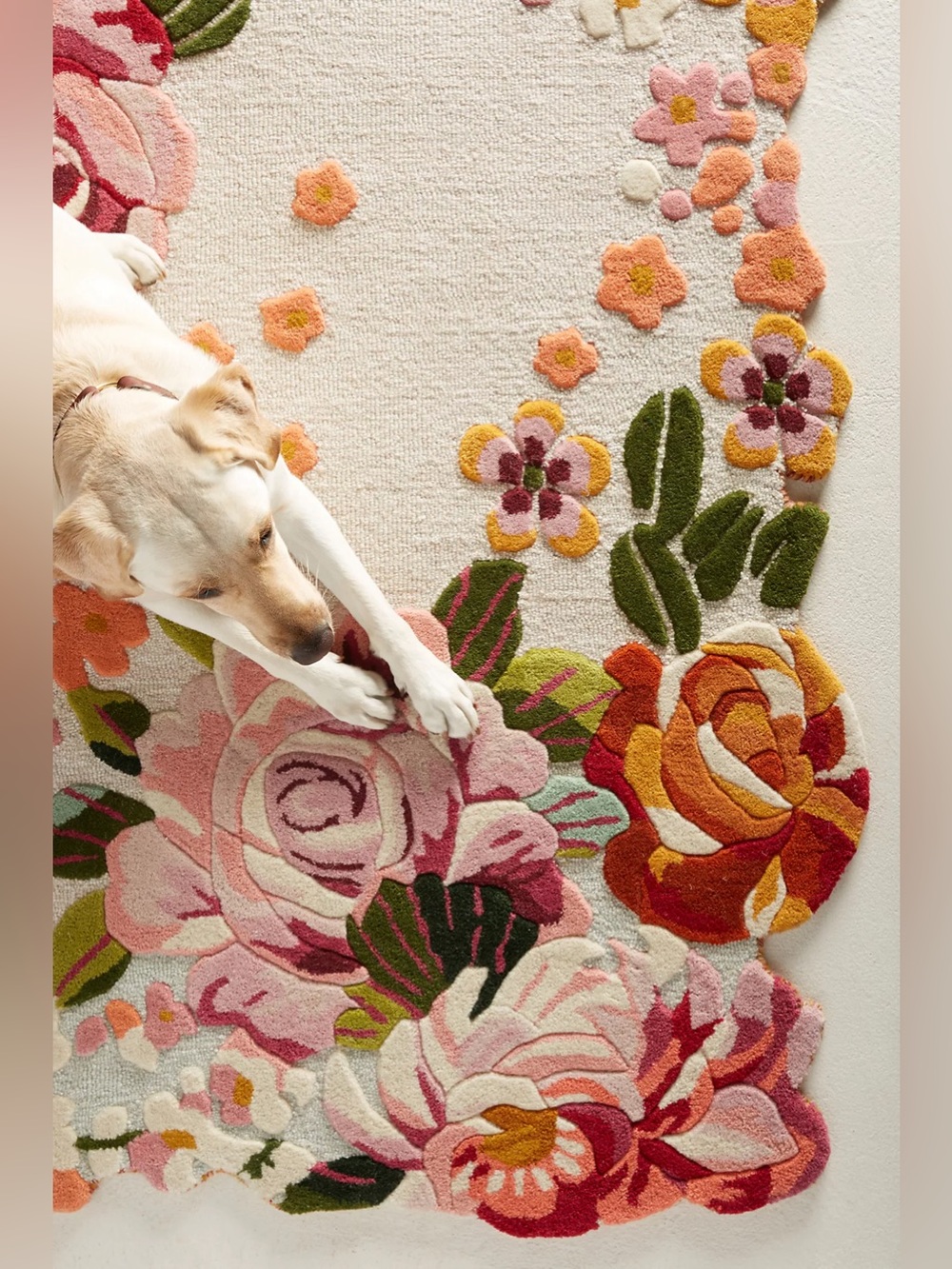 Anthropologie Tufted Aracelli Rug 2x3 - Picture 4 of 10